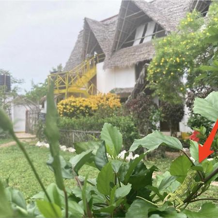 Botanica Eco Lodge Michamvi 外观 照片