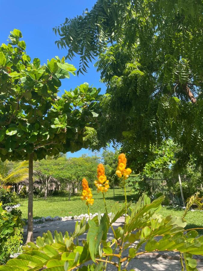 Botanica Eco Lodge Michamvi 外观 照片