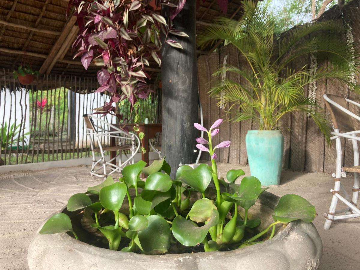 Botanica Eco Lodge Michamvi 外观 照片