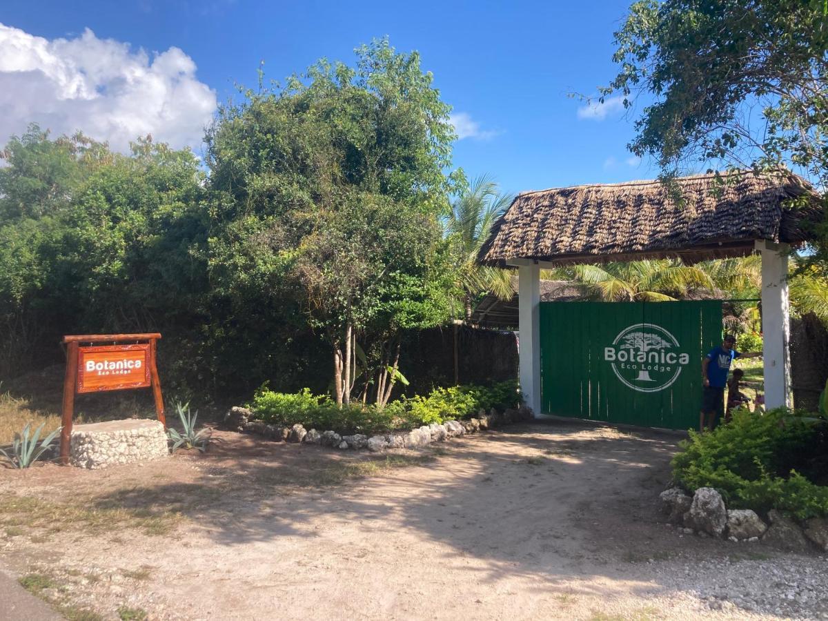 Botanica Eco Lodge Michamvi 外观 照片