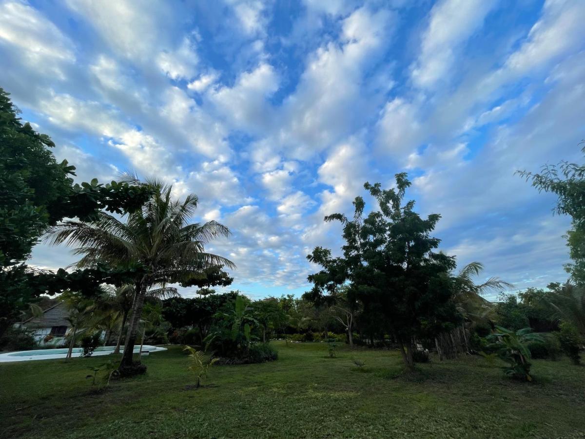 Botanica Eco Lodge Michamvi 外观 照片