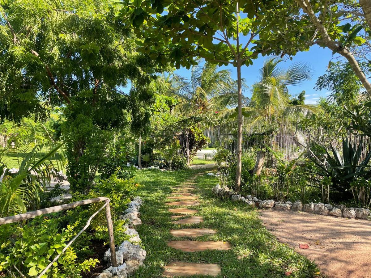 Botanica Eco Lodge Michamvi 外观 照片