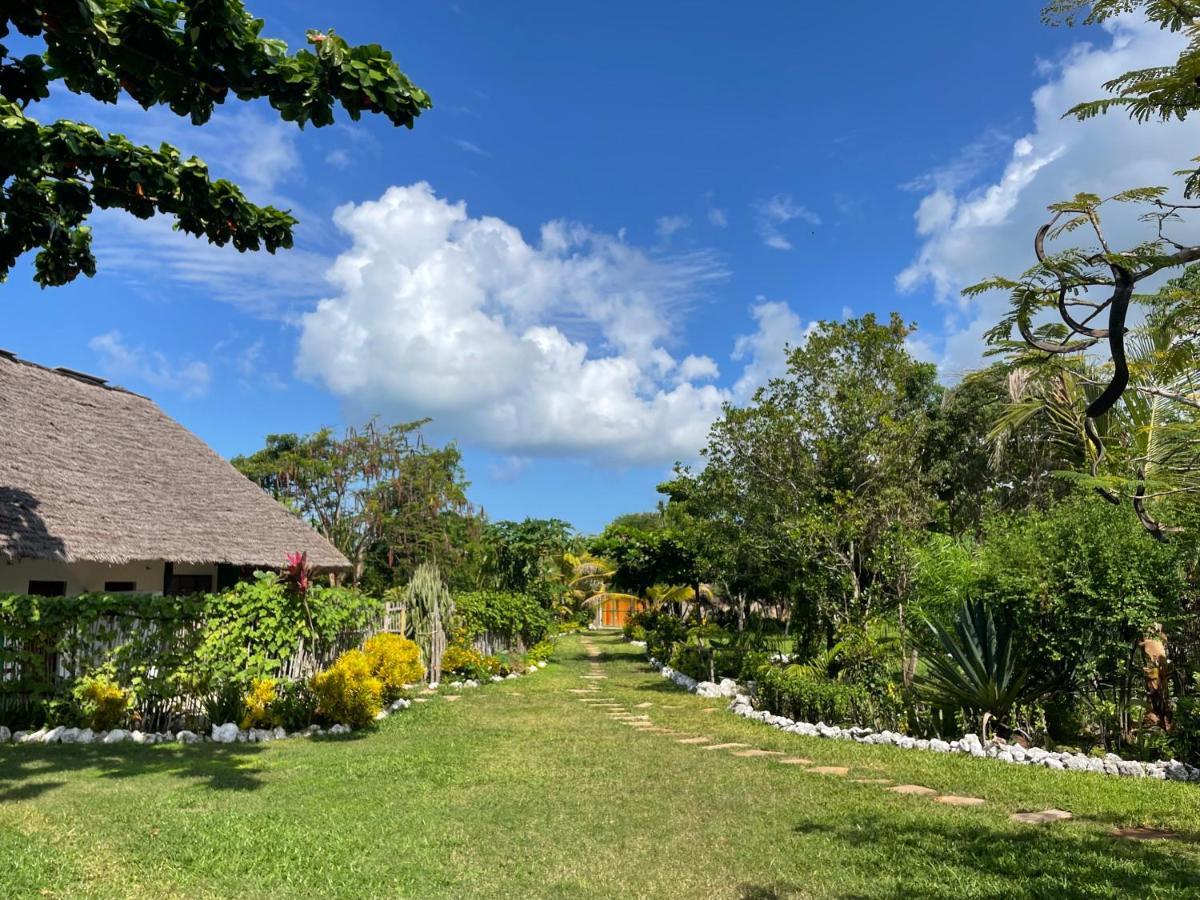 Botanica Eco Lodge Michamvi 外观 照片