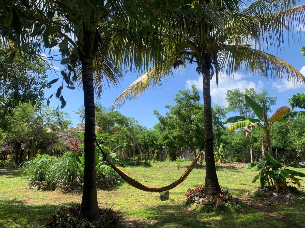 Botanica Eco Lodge Michamvi 外观 照片